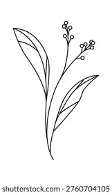 Botanical twig with linear leaves and small berry cluster in clean contour style