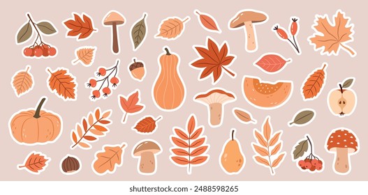 Botanical vector autumn set of leaves and plants. Scrapbooking
