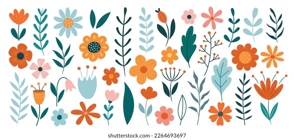 Colección vectorial botánica de plantas, flores, hojas