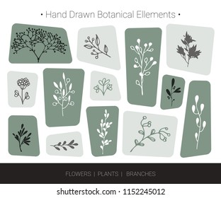 Botanical vector design elements. Hand drawn isolated silhouettes of flowers, weeds, herbs, tree branches. Logo design, organic branding, wedding invitation decor, fashion textile and floral prints.