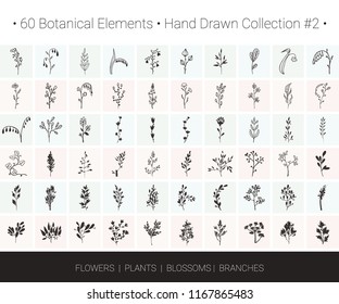 Botanical vector design set. Branch, flower, herb icons for floral wreaths, borders, logo designs, wedding invitation, flyers, greeting card, textile print. Hand drawn botanical illustrations clipart.