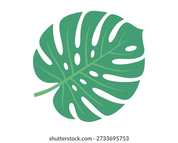 Botanical Vector Element of Single Monstera Deliciosa Foliage