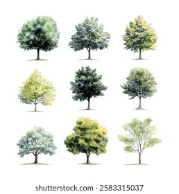 Botanical Vector Elements collection of watercolor style vectors featuring blooming trees, and forests, ideal for environmental and garden designs