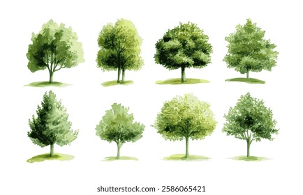 Botanical Vector Elements collection of watercolor style vectors featuring blooming trees, and forests, ideal for environmental and garden designs