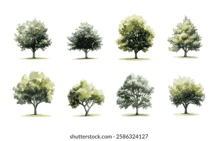 Botanical Vector Elements collection of watercolor style vectors featuring blooming trees, and forests, ideal for environmental and garden designs