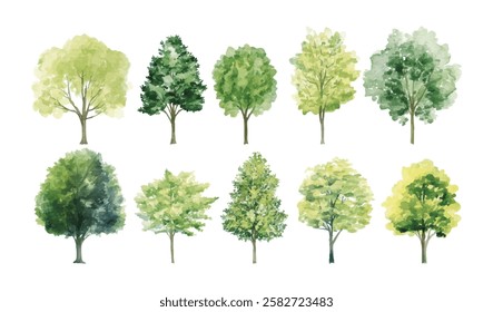 Botanical Vector Elements collection of watercolor-style vectors featuring blooming trees, and forests, ideal for environmental and garden designs