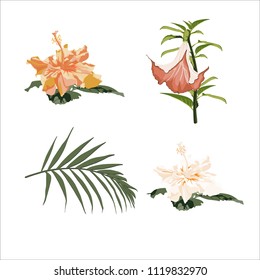 Botanical Vector Elements: hibiscus and tropical lilies flowers and palm leaves.