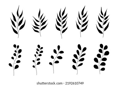 Botanical vector elements and icons. Set of leaves, herbs, branches, twigs. Black silhouette on a white background. Vector design for spring summer design, decoration, pattern making, boho design