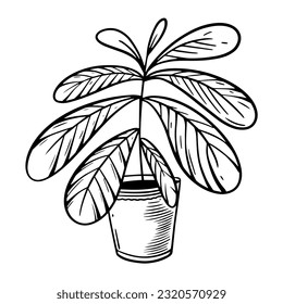 Ilustración plana vectorial botánica. Hogar en una olla. Estilo de arte de línea de color negro aislado en fondo blanco.