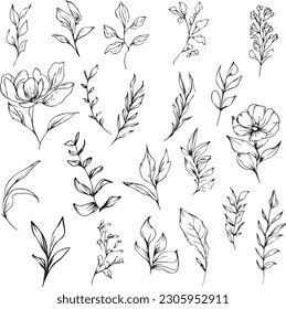 página de coloreado de ilustraciones vectoriales botánicas, simplicidad, embellecimiento, monocromo, arte vectorial, impresión de contorno con hoja botánica de la rama, hojas botánicas y brotes, tatuaje botánico minimalista.