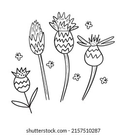 botanische Vektorgrafik, Blumendesign, minimalistische Kunst, Schwarz-Weiß-Stil, Line Art