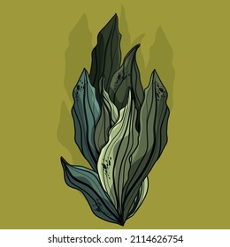 Ilustración vectorial botánica. Hojas decorativas para la decoración. Impresión floral. Primavera. Flores gráficas y abstractas. Postal para el 8 de marzo. ¡Día Internacional de la Mujer! Imprimir para papel pintado, bolsas.