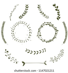 Botanical vector illustration. Design elements for logotype design. 