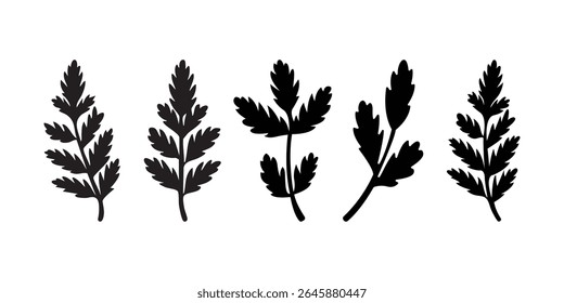 A botanical vector illustration of fern leaves. A simple and elegant silhouette design, perfect for various creative projects and nature themes.