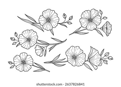 Botanical Vector Illustration of Flax Flowers, Floral Design with Delicate Details