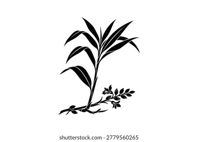 Botanical vector illustration of ginger herb plant stalk with flowering rhizome graphic icon
