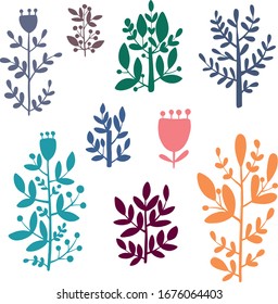 Ilustración vectorial botánica. Elementos de diseño gráfico para su logotipo e identidad