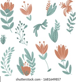 Botanical vector illustration. Graphic design elements for your logotype and identety