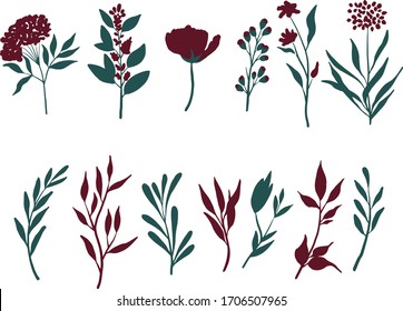  Botanische Vektorillustration. Grafische Design-Elemente für Ihr Logo und Ihre Identität