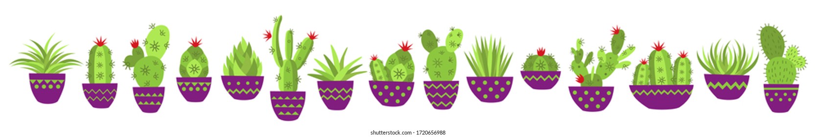 Botanical vector illustration of home plants succulents and cacti flat style. Big set for background, packaging paper, stickers