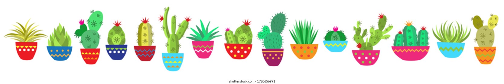 Botanical vector illustration of home plants succulents and cacti flat style. Big set for background, packaging paper, stickers