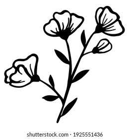 Botanical vector illustration isolated on white background. Flowers, leaves and branches are drawn by hand and ink. Black contour plants. Design for labels of tea and cosmetics.