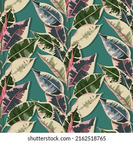 Botanical vector illustration pattern, Dark  background. Houseplants. Multi colored leaves. Ficus tricolor