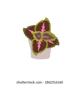 botánico es una ilustración vectorial de una planta