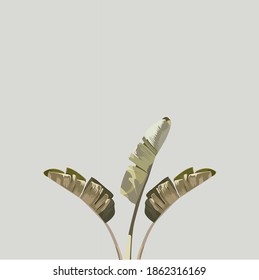 botanical is a vector illustration of a plant