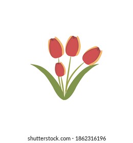 botanical is a vector illustration of a plant