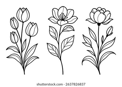 Botanical Vector Illustration Set Elegant Floral Design Elements Line Art Style