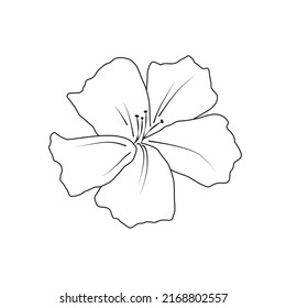 Ilustración vectorial botánica. Dibujo de líneas de flores simples para logo, diseño, decoración, invitación a la boda. Elemento floral minimalista. Doodle romántico de jardín.