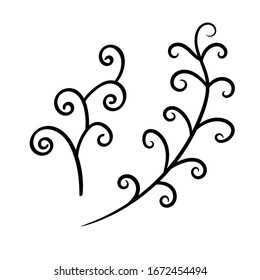 Botanical vector illustration of single herbal element. Ink drawing in Doodle style. Isolated object on a white background. Decorative element for spring and summer design, wedding, vignettes.