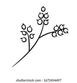 Botanical vector illustration of single herbal element. Ink drawing in Doodle style. Isolated object on a white background. Decorative element for spring and summer design, wedding, vignettes.