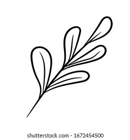 Botanical vector illustration of single herbal element. Ink drawing in Doodle style. Isolated object on a white background. Decorative element for spring and summer design, wedding, vignettes.
