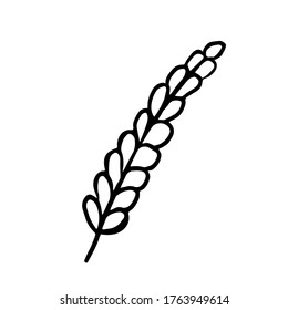 Botanical vector illustration of single herbal element. Ink drawing in Doodle style. Isolated object on a white background. Decorative element for spring and summer design, wedding, vignettes.
