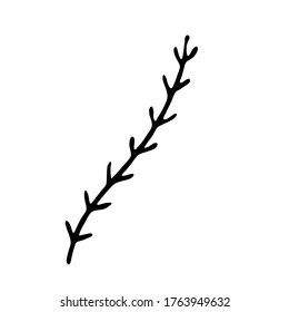 Ilustración vectorial botánica de un solo elemento vegetal. Dibujo de tinta al estilo Doodle. Objeto aislado sobre un fondo blanco. Elementos decorativos para el diseño primaveral y veraniego, bodas, viñetas.