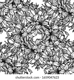 Botanical vector illustration, summer lilium flowers, bouquet of flowers, line art style, romantic decoration, light  background, seamless pattern, Handmade