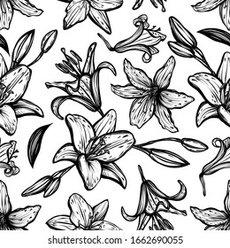 Botanical vector illustration, summer lilium flowers, bouquet of flowers, line art style, romantic decoration, Handmade, light  background, seamless pattern