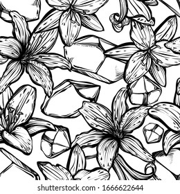Botanical vector illustration, summer lilium flowers, bouquet of flowers, crystals, romantic decoration, line art style, Handmade, print, light  background, seamless pattern