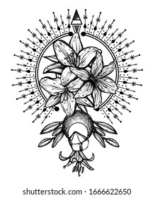 Botanical vector illustration, summer lilium flowers, bouquet of flowers, romantic decoration, line art style, Handmade, print on t-shirt, tattoo