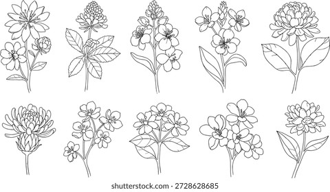Ilustração vetorial botânica de dez plantas floridas com tons rosa e verde, apresentando pétalas, folhas e caules diversos