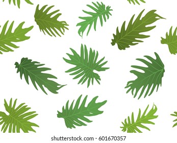 Botanical vector illustration with tropical leaves isolated on white background. Jungle green leaf floral pattern. Exotic nature.