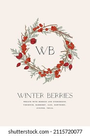 Botanical vector illustration.
Vintage wreath with ilex berries and thuja. Colorful.