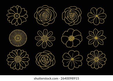 Botanical Vector Illustration of Yellow Flowers on Black Background, Floral Line Art