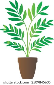 Botanical Vector Illustrations Indoor Plant Vector Art