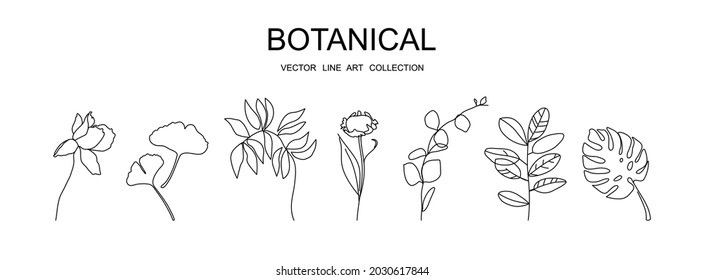 Botanical vector line art collection minimal botanical graphic sketch drawing, trendy tiny tattoo design, floral elements vector illustration