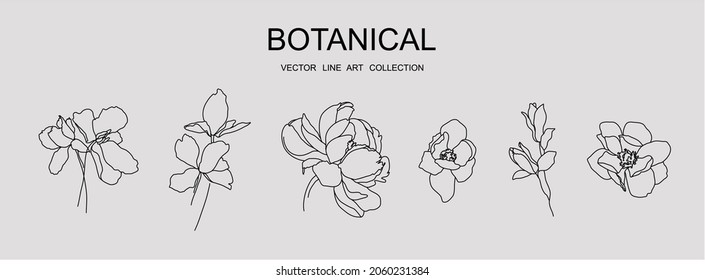 Colección de arte de línea vectorial botánica mínima dibujo de dibujo gráfico botánico, diseño de tatuajes diminutos a la moda, elementos florales ilustración vectorial