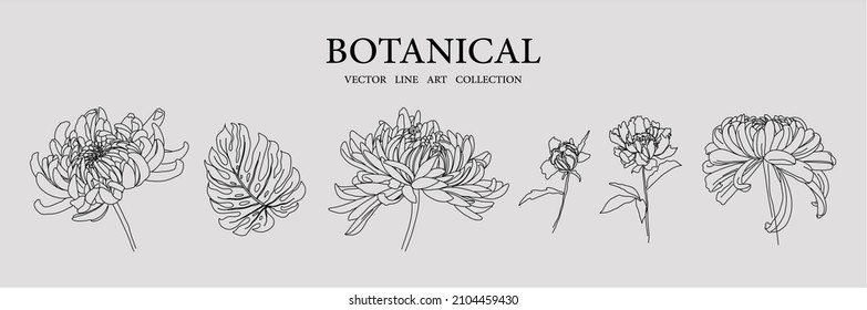 Botanical vector line art collection minimal botanical graphic sketch drawing, trendy tiny tattoo design, floral elements vector illustration