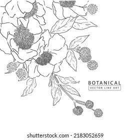 Botanical vector line art, hand drawn flower  illustration 01